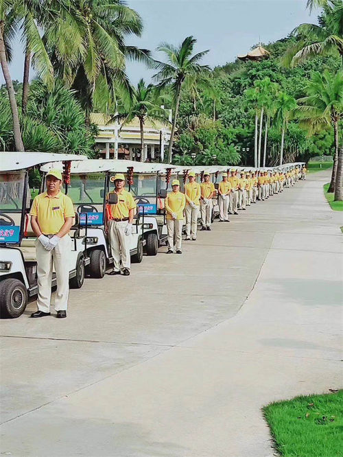 Berita perusahaan terbaru tentang Kendaraan Wisata 8-14 Tempat yang Serbaguna