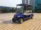 Multifungsi Golf Utilitas Listrik, Cub Cadet Golf Cart Ramah Lingkungan pemasok