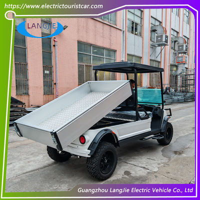 2 Seat Electric Baggage Cart 48V AC Motor Driven Battery Powered Carry Van For Park